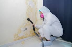 Best Crawl Space Mold Remediation  in USA